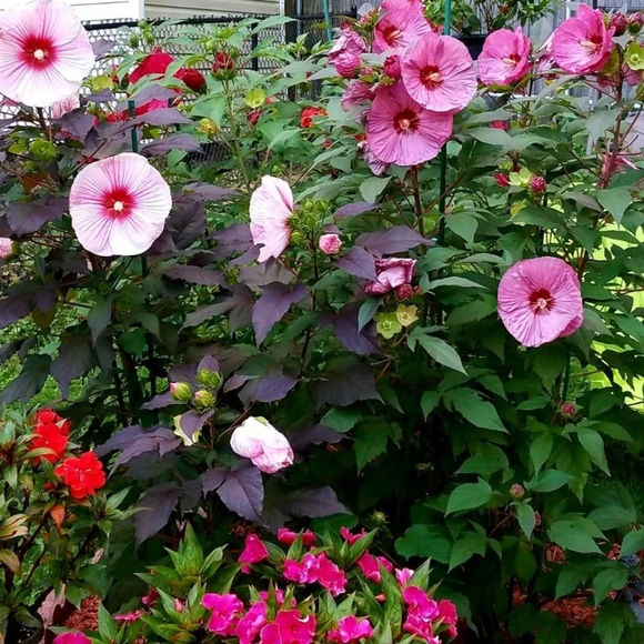 Welcome to my Page 😊💕 - Picture 8 of 8